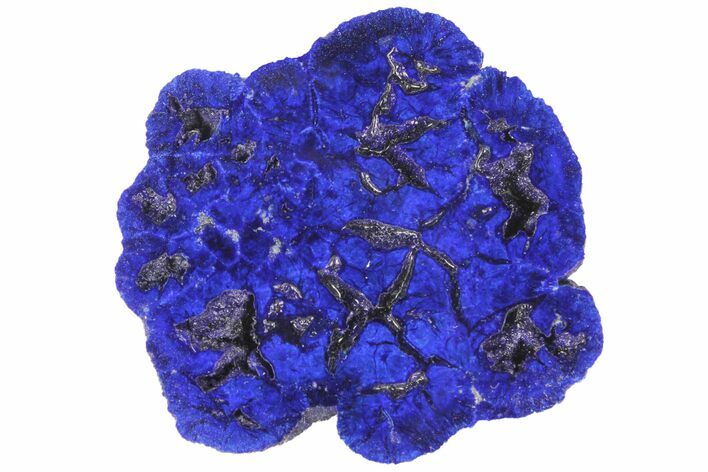 Vivid Blue, Cut/Polished Azurite Nodule - Siberia #94568